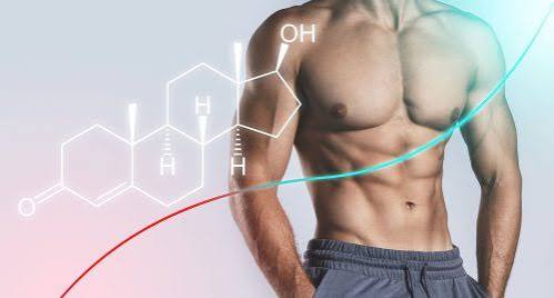Hormone optimization